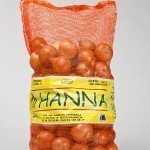 HANNA – web