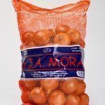 MORA – web